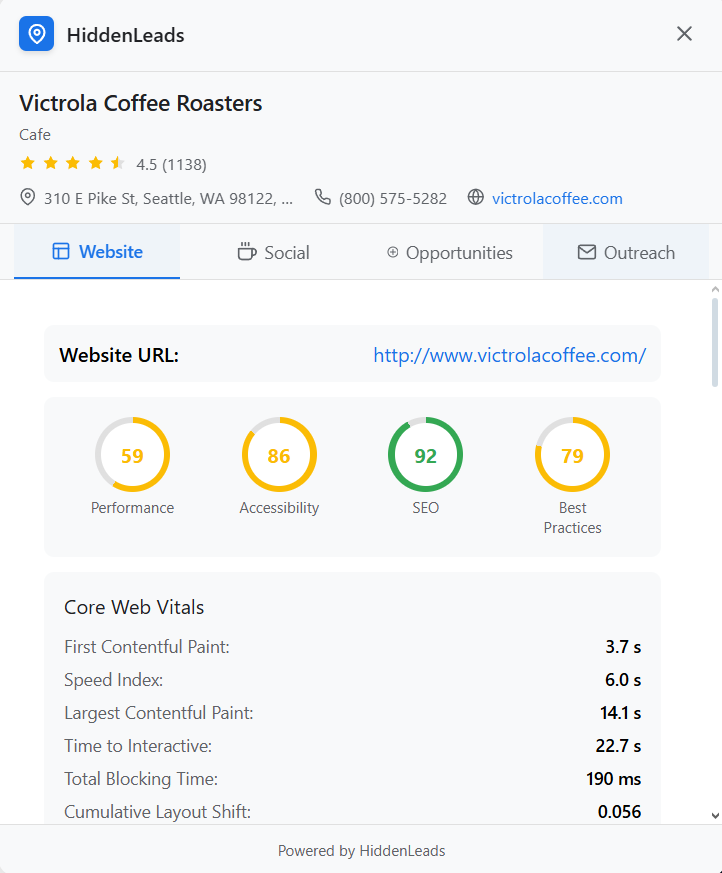 Website Analysis screenshot